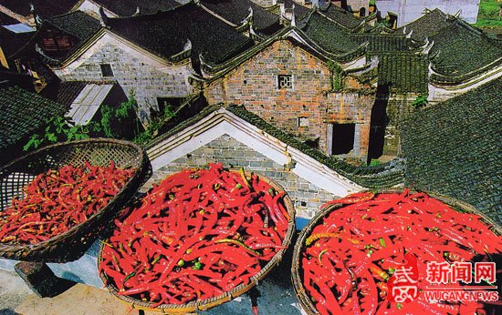 武冈市浪石村录入中国传统村落名录