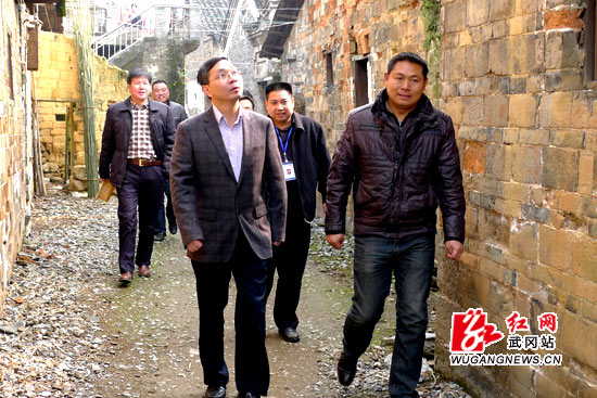 陈恢清调研浪石古民居保护开发工作