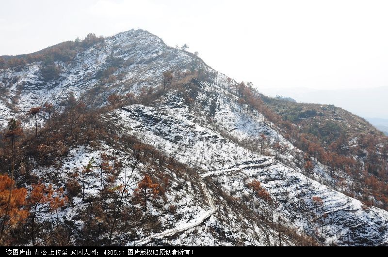 雪后的天鹅山