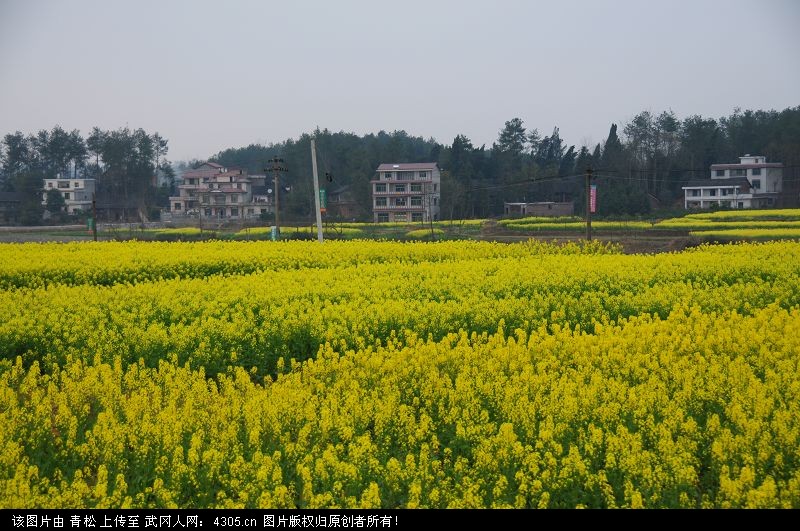 马坪乡长源村