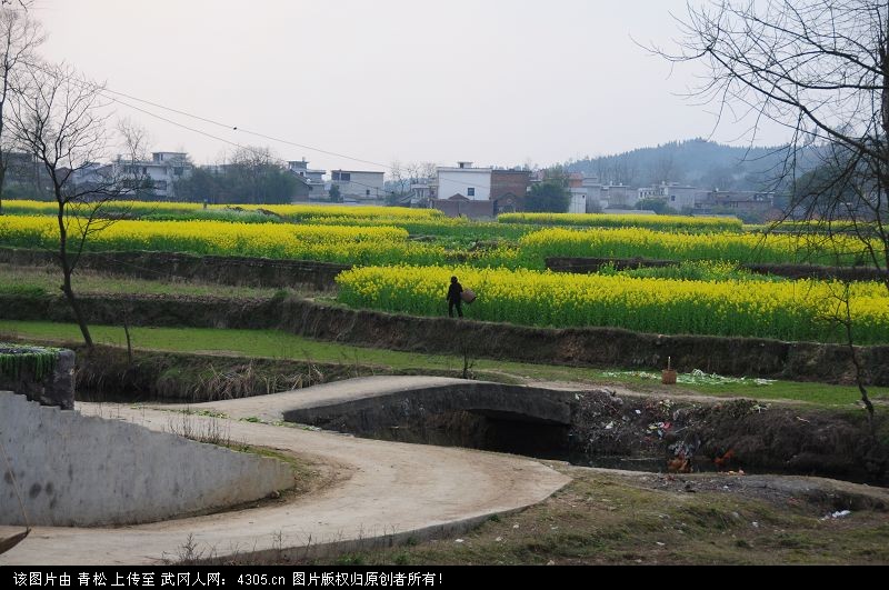 马坪乡田塘村