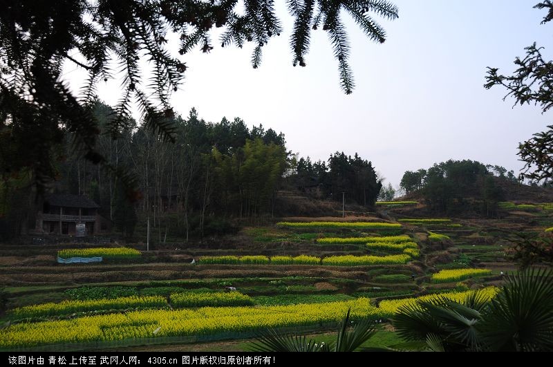 马坪乡长石村