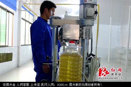 武冈建成年产3万吨食用植物油生产线