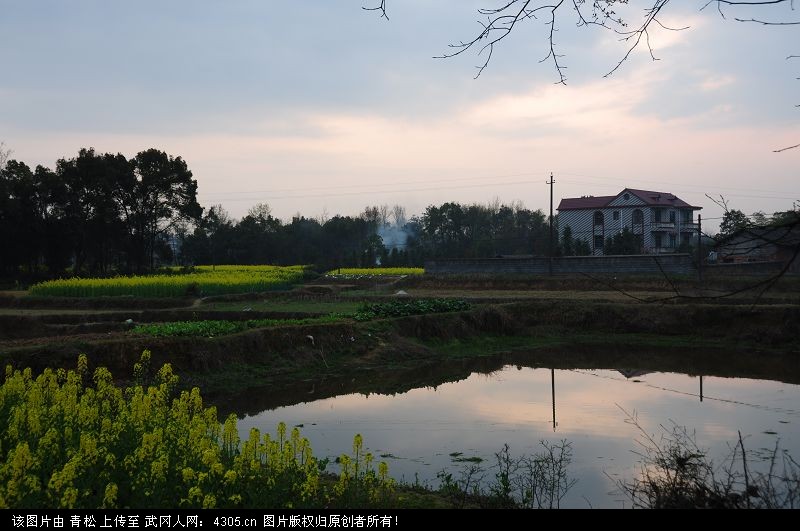 马坪乡青松村