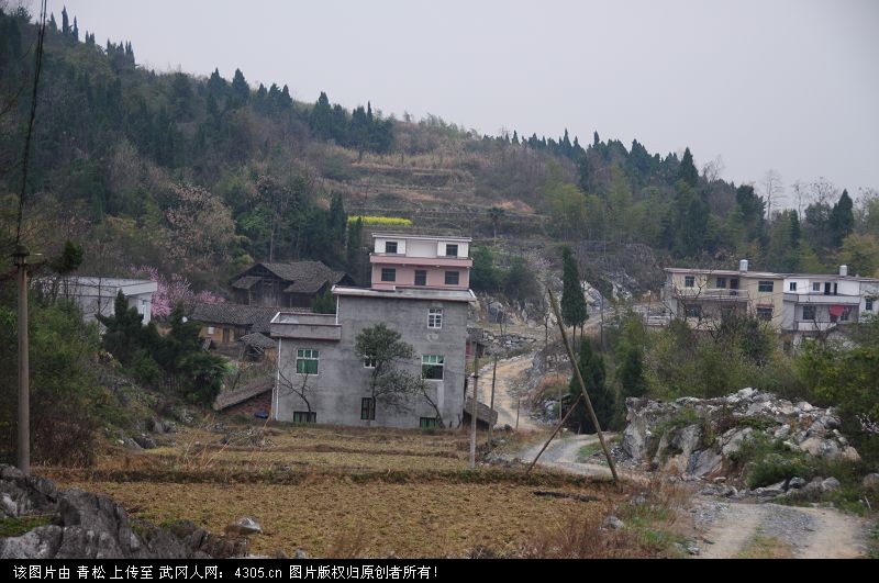 水浸坪乡白云村长古山