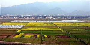 邓元泰镇山岚铺