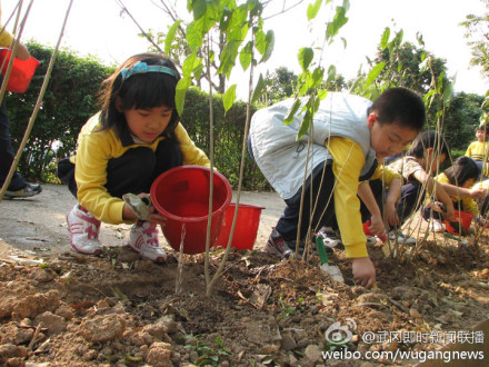 龙溪镇旱灾严重，青年团员为志愿者执行造林活动