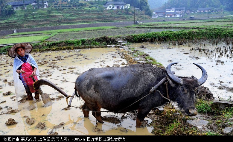 春耕没有钱买物资？武冈市住建局筹捐