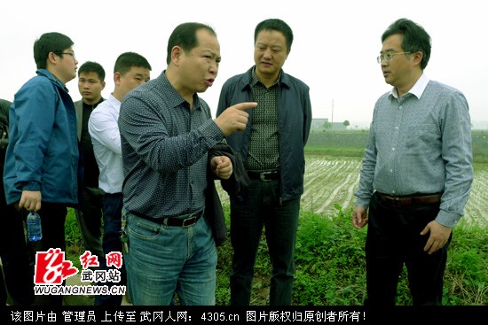 武冈机械化育插秧跑在邵阳前列