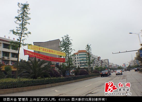 绿化带里拉广告 树木好受伤