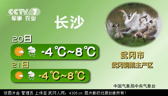 “武冈铜鹅”获央视农产品主产区展播