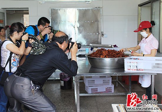 龙田乡举行“摄影名家龙田行”活动