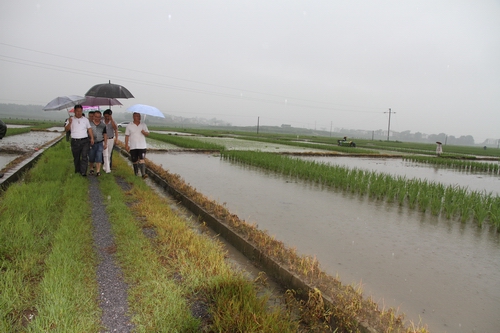 武冈：小种子托起大梦想！