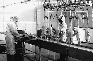 武冈：卤菜小吃舞活一方“天”