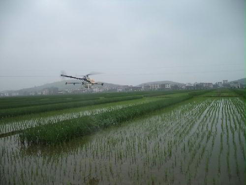飞机施药进入寻常百姓家