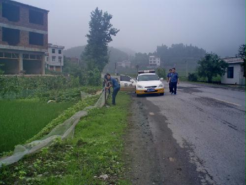 武冈路政清除路肩种植作物