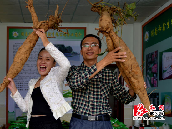 武冈特色旅游商品闪耀“湖南国际旅游节”