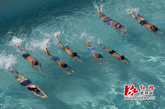 武冈"体彩杯"摄影赛获奖作品揭晓