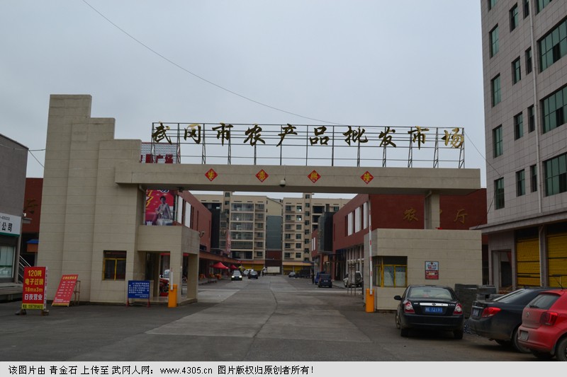 11月3日：走近武冈市农产品批发市场