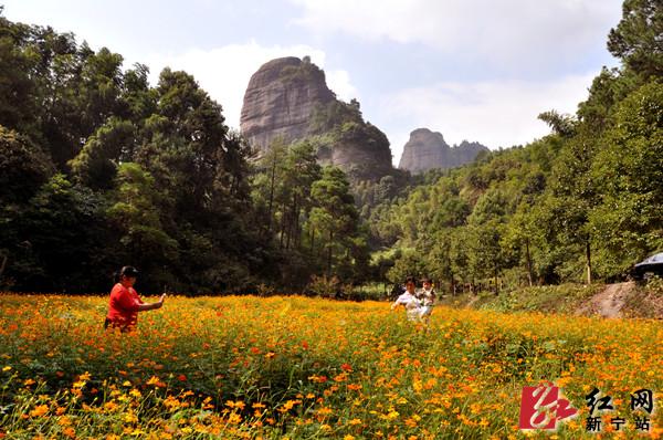 花擁崀山景如畫