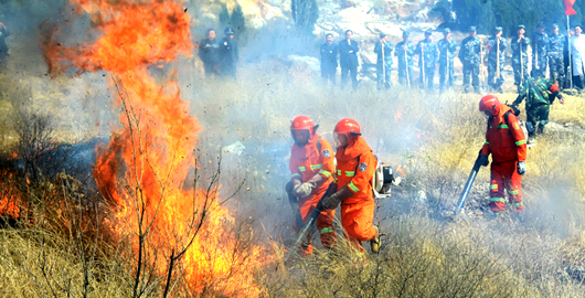 武冈各乡镇加紧森林防火措施