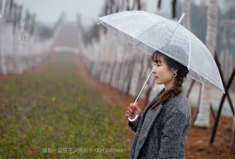 蝶儿姑娘--人网特别推荐。