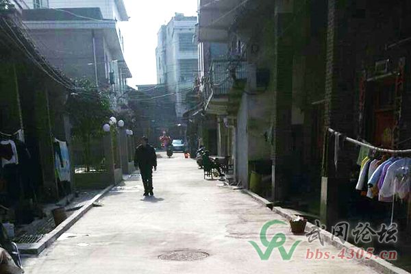 武冈肖家坝灵官巷的路终于建好了！