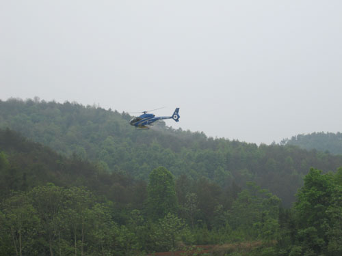 武岡動用飛機防治馬尾松毛蟲