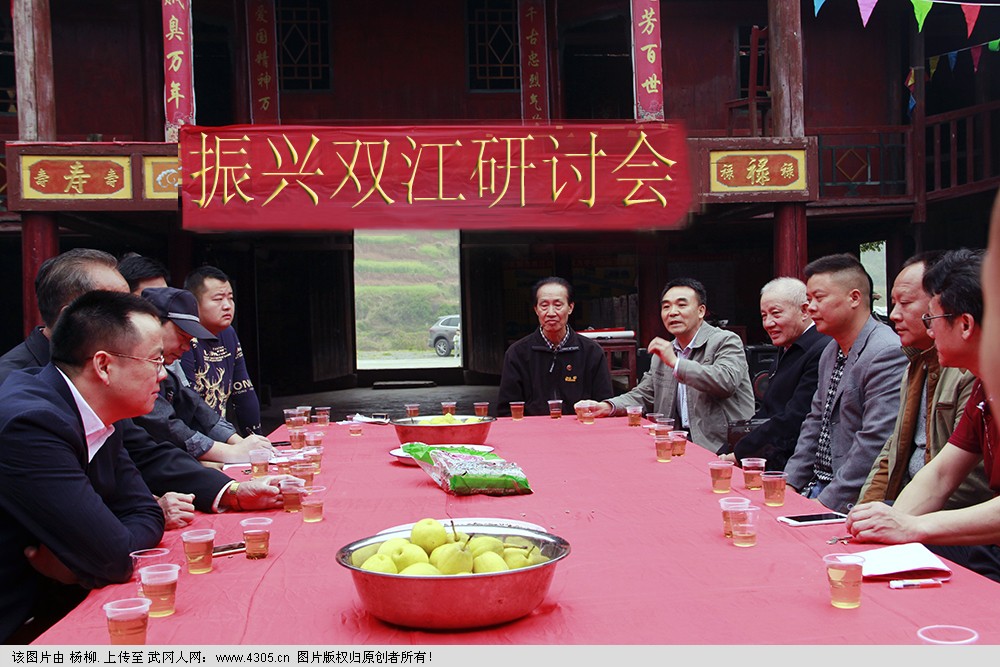 情系雙江，愛灑故鄉(xiāng)---記武岡市雙江海內(nèi)外游子著力打造原生態(tài)桃花源的故事