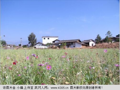 烟塘村有了村民的QQ交流群