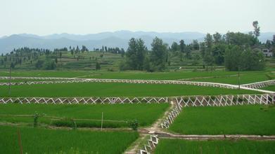 稠樹塘鎮(zhèn)農(nóng)田建設(shè)項(xiàng)目通過市級(jí)驗(yàn)收