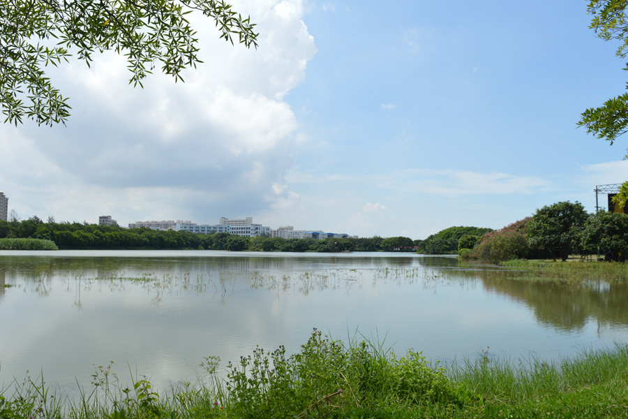 端午节，畅游海上田园……