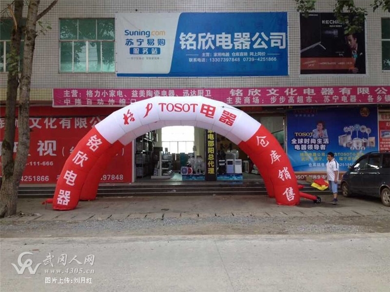 格力（TOSOT)风扇