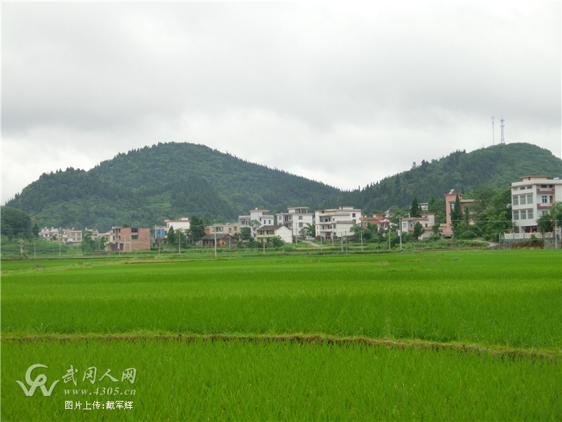 同保山：武冈人的家园