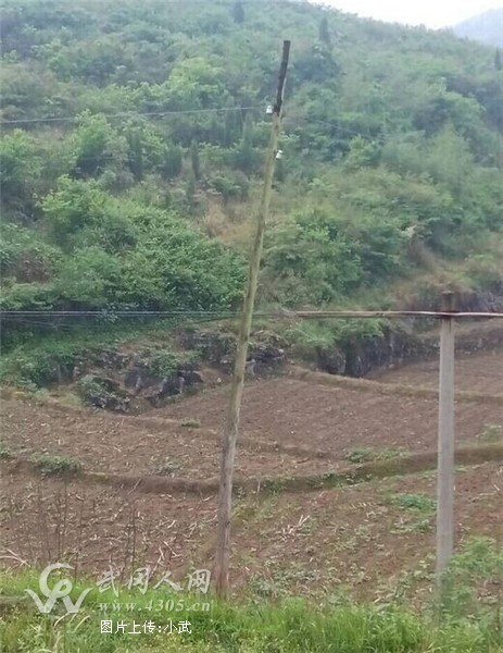 稠樹(shù)塘鎮(zhèn)“志愿幫扶”惠及400特困人