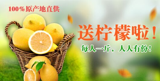 人網(wǎng)福利:現(xiàn)摘新鮮檸檬一斤,免費品嘗