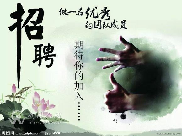 招聘財(cái)務(wù)主管