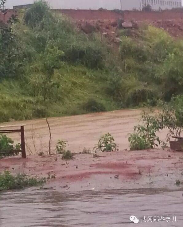 安樂鄉(xiāng)村民苦不堪言，暴雨致污水回流淹住戶