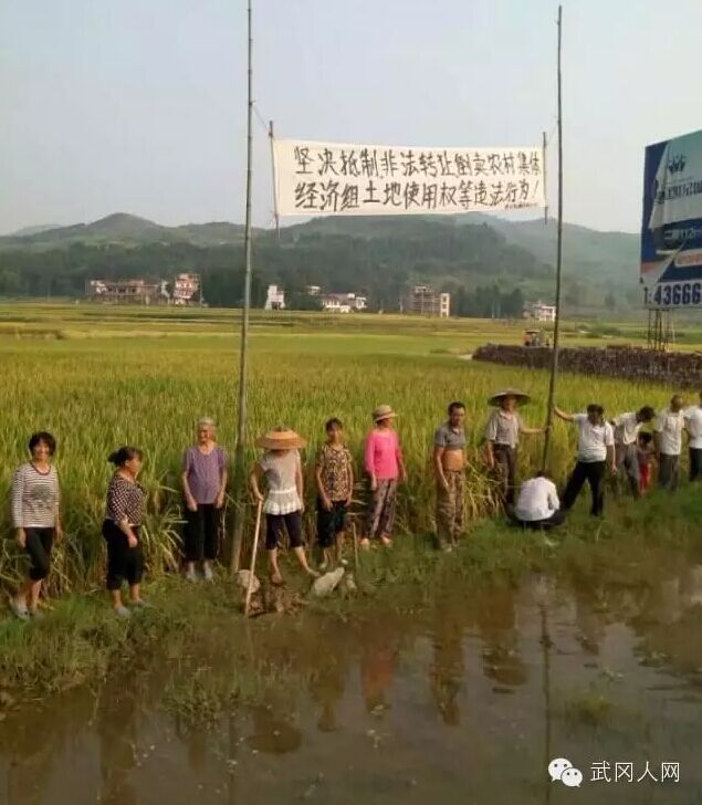 武岡官商勾結(jié),景福村良田非法買賣暴力執(zhí)法