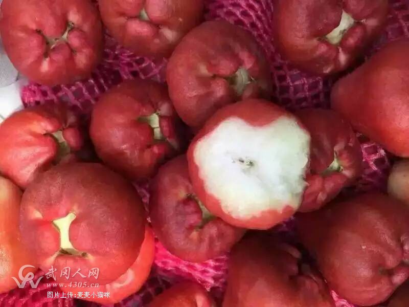 鲜果时光