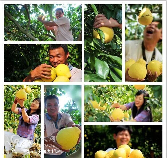 鲜果时光