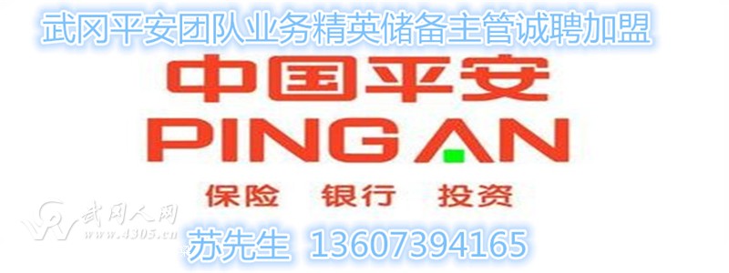 武冈平安团队业务精英储备主管诚聘加盟