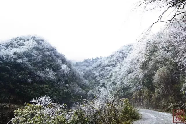 游客云山賞景需做好防寒防滑措施