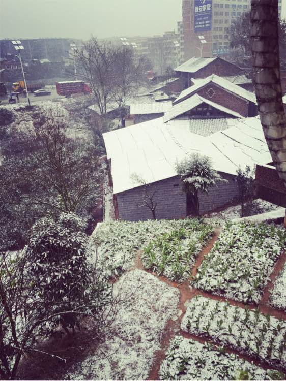 武岡又下雪啦！落鋪雪了！