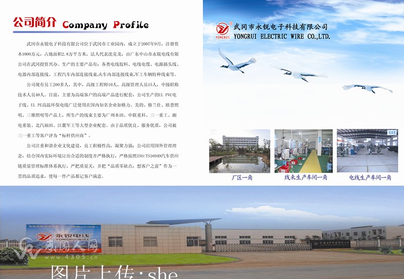 武冈永锐公司诚聘