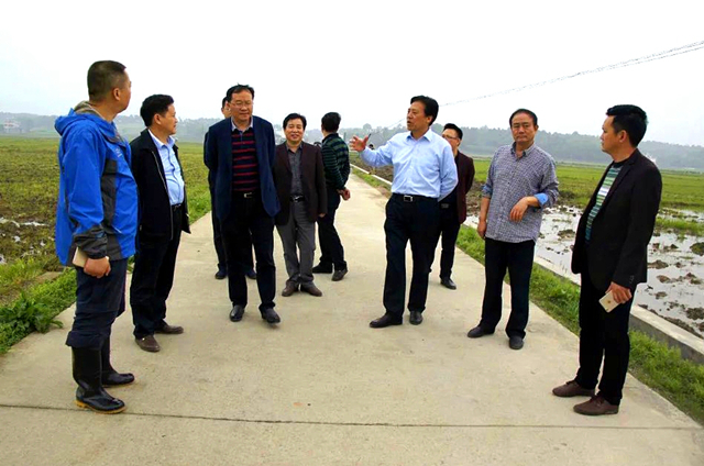陳優(yōu)秀赴武岡調(diào)研工業(yè)發(fā)展與農(nóng)村公路拓改工作