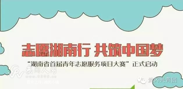 武冈市“以羊为媒，助推农村贫困户”项目顺利进入湖南首届青年志愿服务大赛