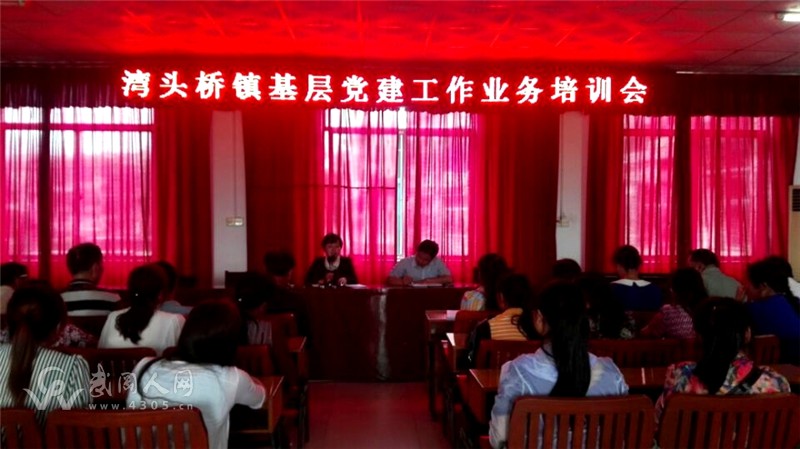 灣頭橋鎮(zhèn)深入開(kāi)展基層黨建業(yè)務(wù)培訓(xùn)