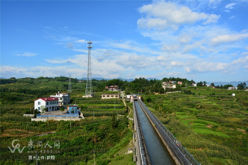 抗旱保丰收  大圳灌区在行动