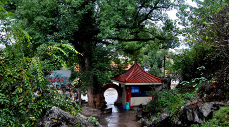 法相巖景區(qū)與荷花公園提質(zhì)改造即將實(shí)施